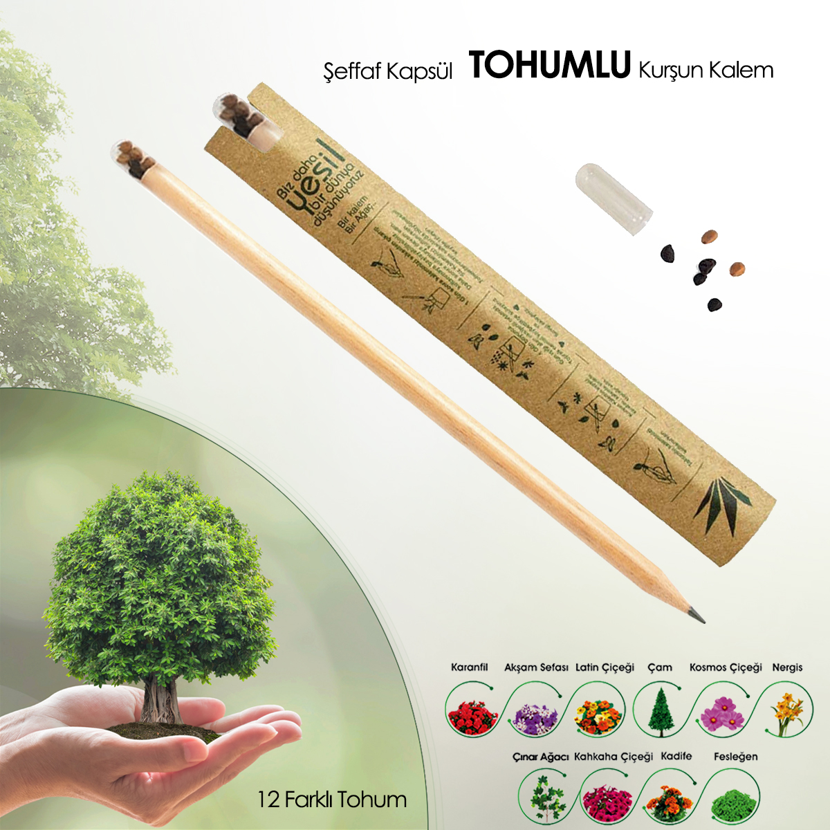 Dere Otu Tohumlu Kurşun Kalem